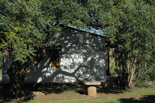 casa rural escondida entre árboles